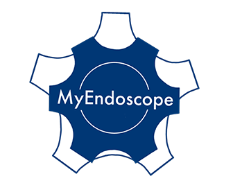 MyEndoscope
