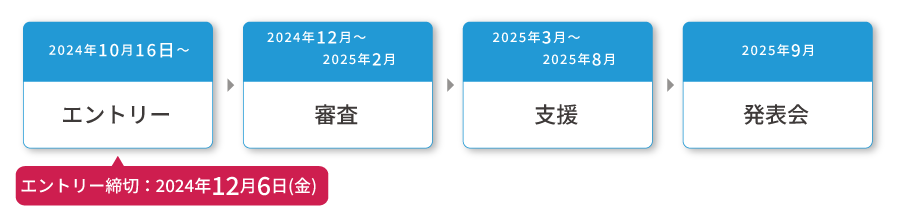 事業スケジュール（応募、審査、支援、発表会）