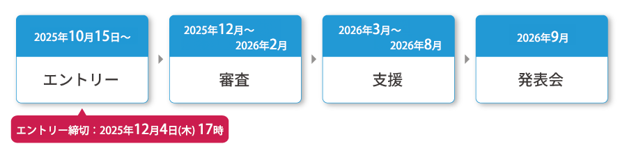 事業スケジュール（応募、審査、支援、発表会）